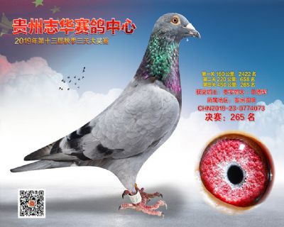 贵州志华决赛265名