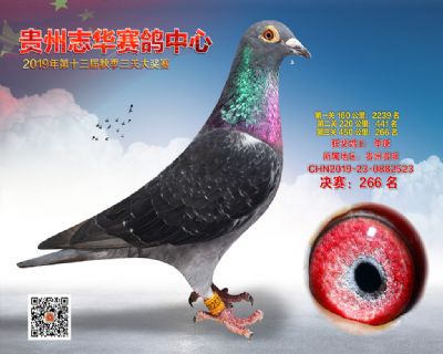 贵州志华决赛266名