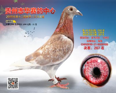 贵州志华决赛267名