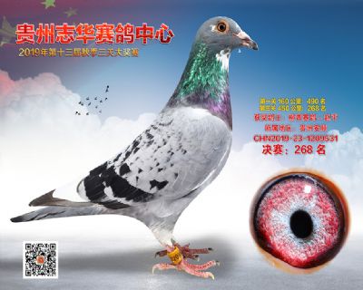 贵州志华决赛268名