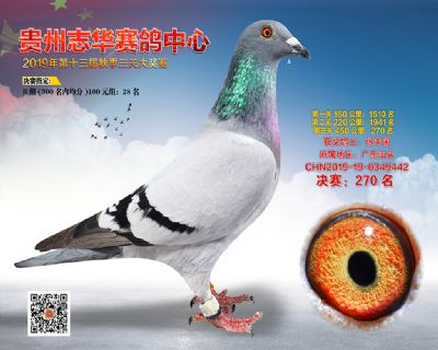 贵州志华决赛270名