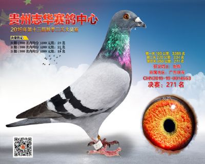 贵州志华决赛271名