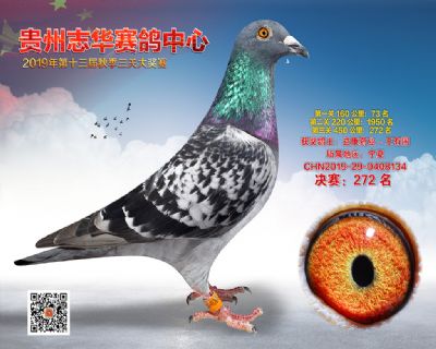贵州志华决赛272名