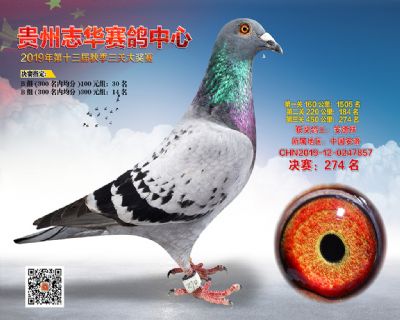 贵州志华决赛274名