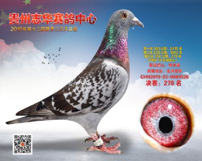 贵州志华决赛278名