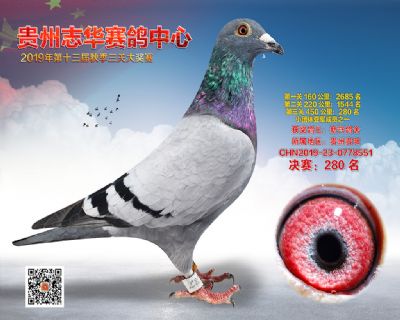 贵州志华决赛280名