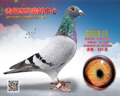 贵州志华决赛281名