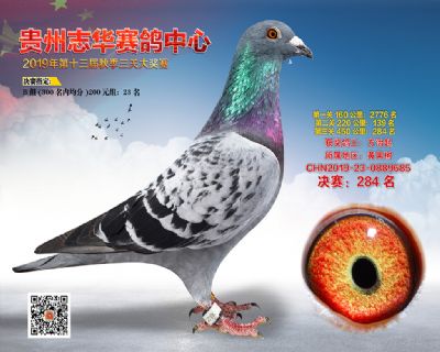 贵州志华决赛284名