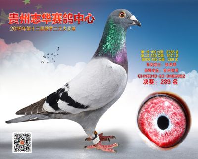 贵州志华决赛289名
