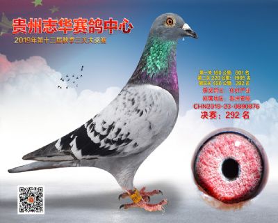 贵州志华决赛292名