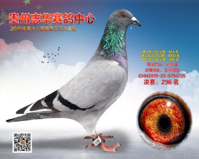 贵州志华决赛296名