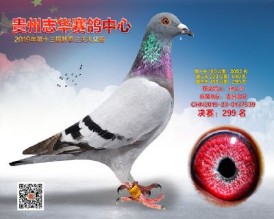 贵州志华决赛299名