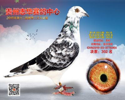 贵州志华决赛302名