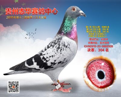 贵州志华决赛304名