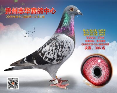 贵州志华决赛306名