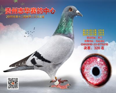 贵州志华决赛320名