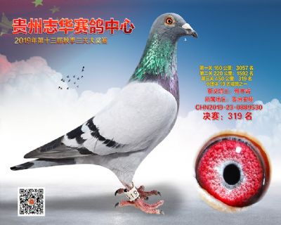 贵州志华决赛319名