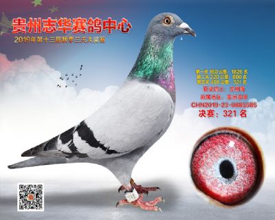 贵州志华决赛321名