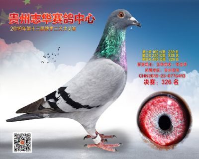 贵州志华决赛326名