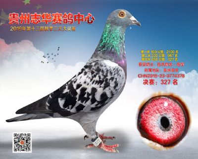 贵州志华决赛327名