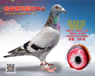 贵州志华决赛338名