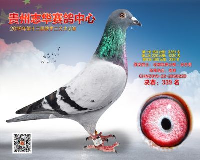 贵州志华决赛339名