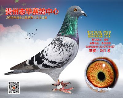 贵州志华决赛341名