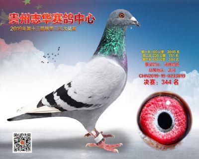 贵州志华决赛344名