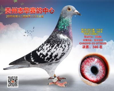 贵州志华决赛346名