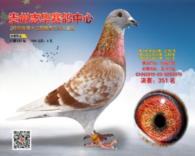 贵州志华决赛351名