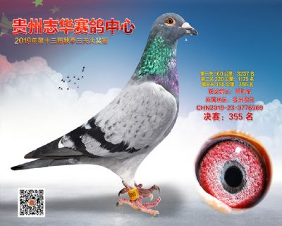 贵州志华决赛355名
