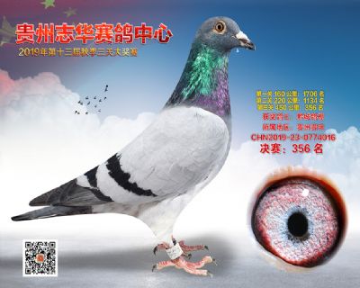 贵州志华决赛356名