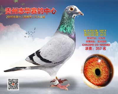 贵州志华决赛357名