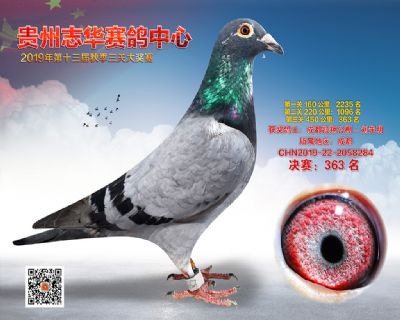 贵州志华决赛363名