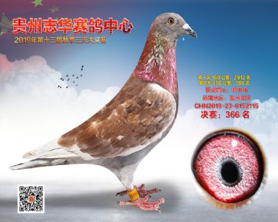 贵州志华决赛366名
