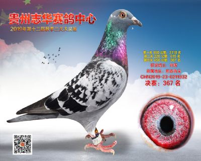 贵州志华决赛367名