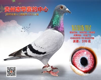 贵州志华决赛370名