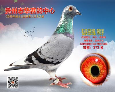 贵州志华决赛373名