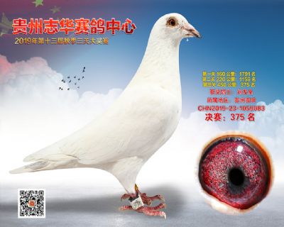 贵州志华决赛375名