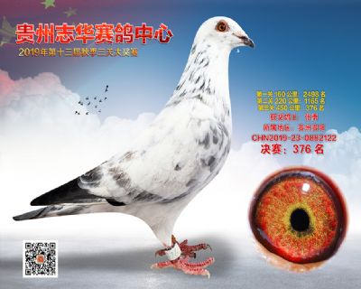 贵州志华决赛376名