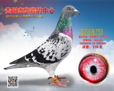贵州志华决赛378名