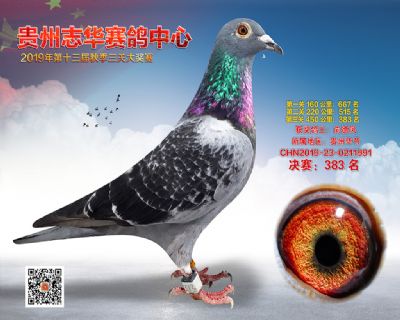贵州志华决赛383名