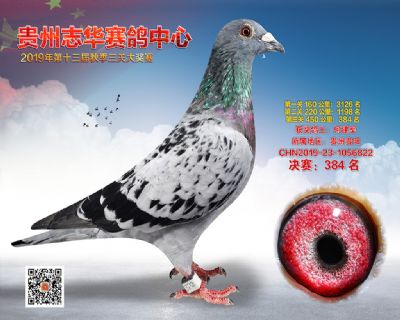 贵州志华决赛384名