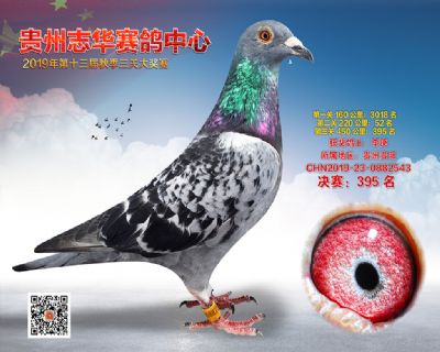 贵州志华决赛395名