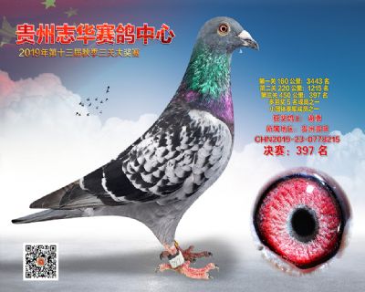 贵州志华决赛397名
