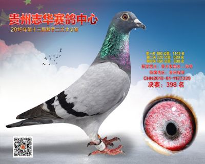 贵州志华决赛398名