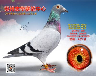 贵州志华决赛403名