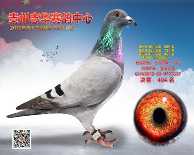 贵州志华决赛404名