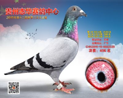 贵州志华决赛406名