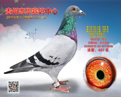 贵州志华决赛407名